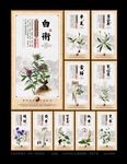 中药文化