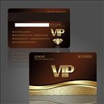 高档VIP卡
