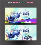 蓝莓
