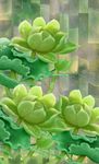 荷花玄关