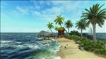 沙滩 大海 蓝天 椰树视频