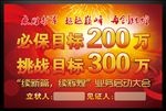 目标牌挑战赛