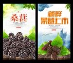 桑葚
