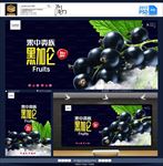 黑加仑