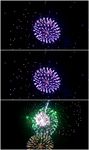黑夜烟花绽放