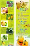 七色柠檬茶
