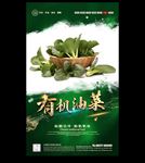 油菜