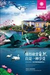 地产插画广告