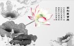 家和万事兴荷花图