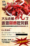 龙虾海报