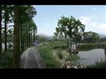 河道水生植物水杉景观效果图