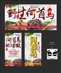 何首乌