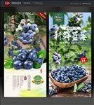 蓝莓