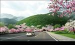 山体隧道景观设计桃花樱花表现图