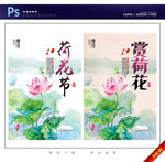 荷花