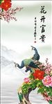 花开富贵 牡丹花 孔雀 玄关