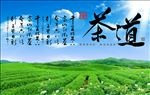 时尚茶道背景墙