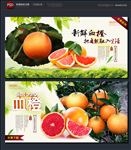 血橙