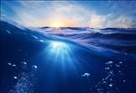 海底世界海豚珊瑚热带鱼天花板