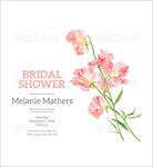 结婚礼花请柬贺卡叶植物手绘插画