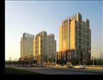 公建黄昏道路设计效果图