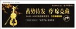 大提琴户外