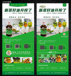 菜籽油