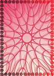红心-花样证书纹