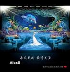 海洋主题婚礼