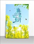 油菜花小清新海报