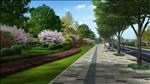 自行车道景观道路樱花灌木设计图