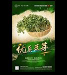 豆芽