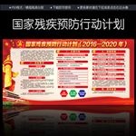国家残疾预防行动计划