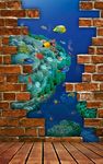 3d海豚玄关