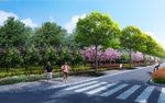 道路