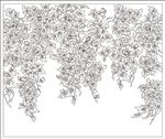 金芙蓉