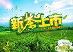 新茶上市海报