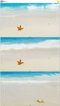 海浪冲击海星