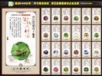 二十四节气
