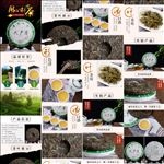 399详情茶叶设计描述