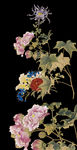 国画海棠 菊花