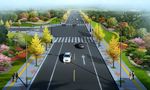 道路绿化