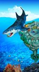 海豚玄关