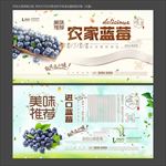 蓝莓