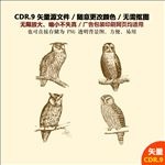 手绘卡通猫头鹰装饰插画矢量图