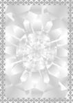 镜中花 防伪证书纹