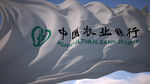 中国农业银行