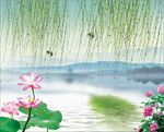江南 垂柳 荷花 鱼池背景墙