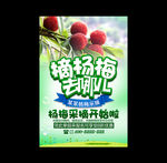 杨梅