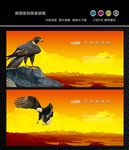 鹰